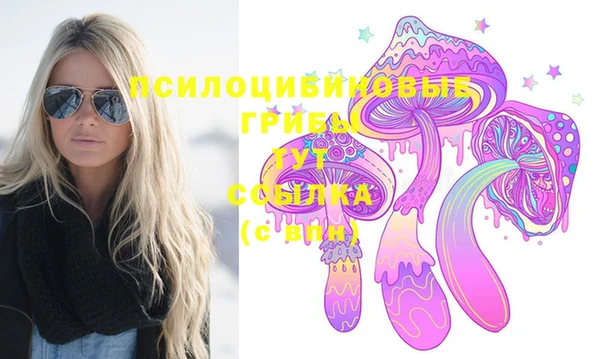 прущая мука Алзамай