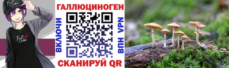 Псилоцибиновые грибы Cubensis  кракен как зайти  Усть-Лабинск 