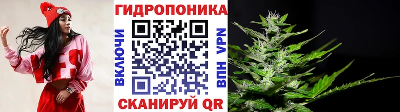 Каннабис Amnesia  дарк нет клад  Усть-Лабинск  МЕГА tor 
